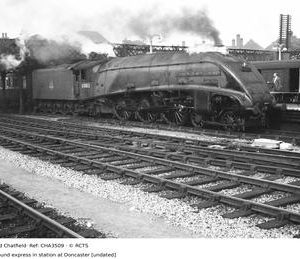 CHA3509