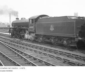 CHA3511