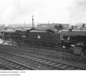 CHA3535
