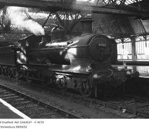 CHA3537