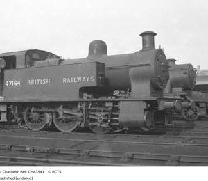 CHA3541