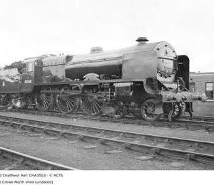 CHA3553