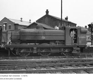 CHA3556