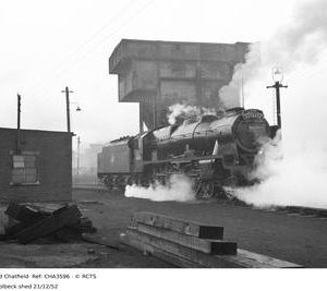 CHA3596