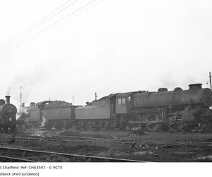 CHA3597
