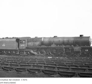 CHA3618