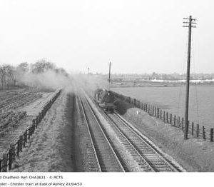 CHA3631