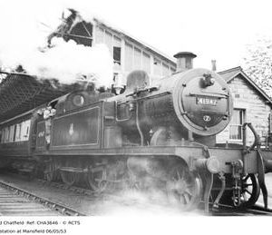 CHA3646