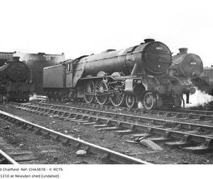 CHA3678