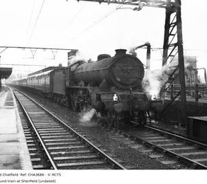 CHA3686