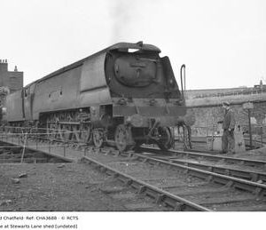 CHA3688