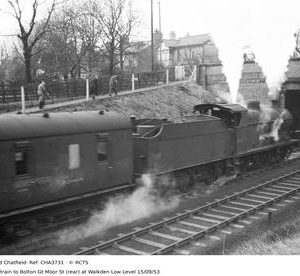 CHA3731