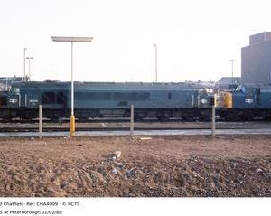 CHA4009