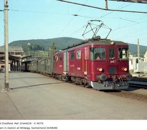 CHA4019