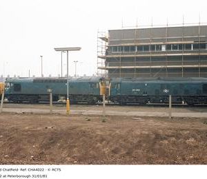 CHA4022