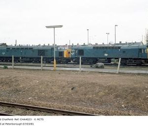 CHA4023