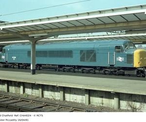 CHA4024