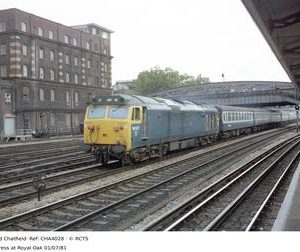CHA4028