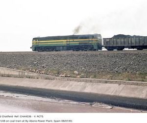 CHA4036