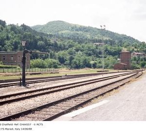 CHA4557