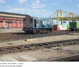 CHA4561