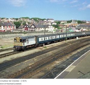 CHA4562