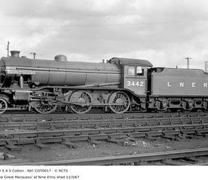 COT0017