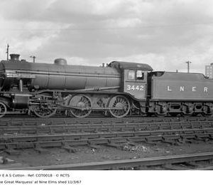 COT0018
