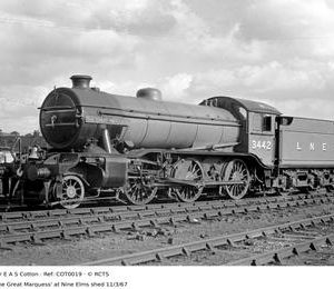 COT0019