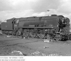 COT0024