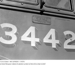 COT0029