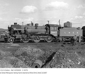 COT0030