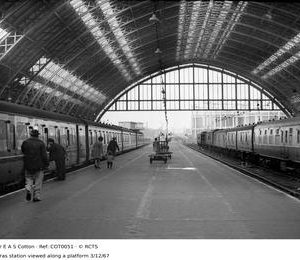 COT0051