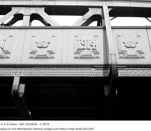 COT0056