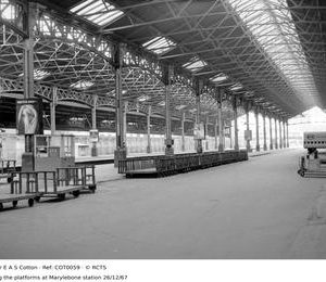 COT0059