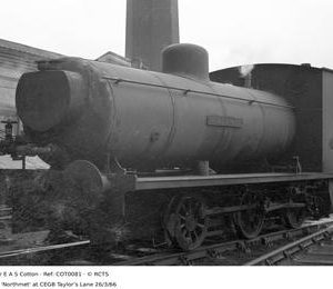 COT0081
