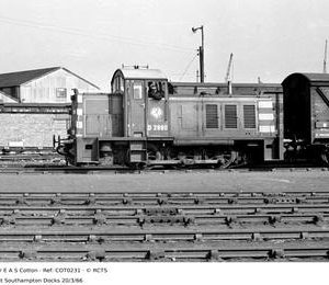 COT0231