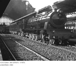 COT0271