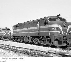 COT0276