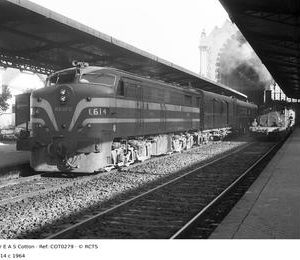 COT0279