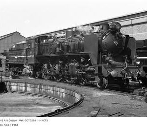 COT0295