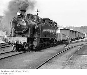 COT0300