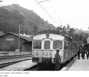 COT0353
