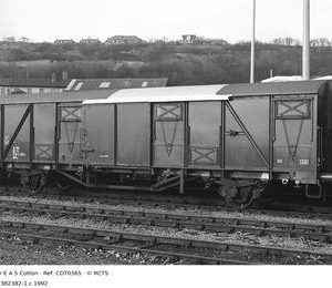 COT0365