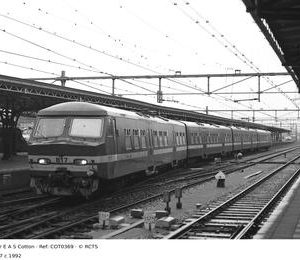 COT0369