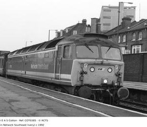 COT0385