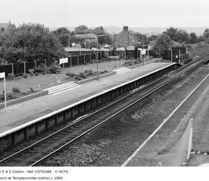 COT0388