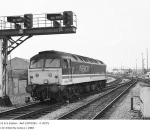 COT0391