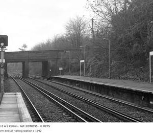 COT0395