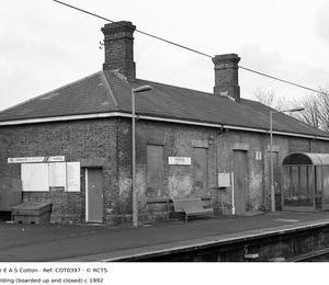 COT0397